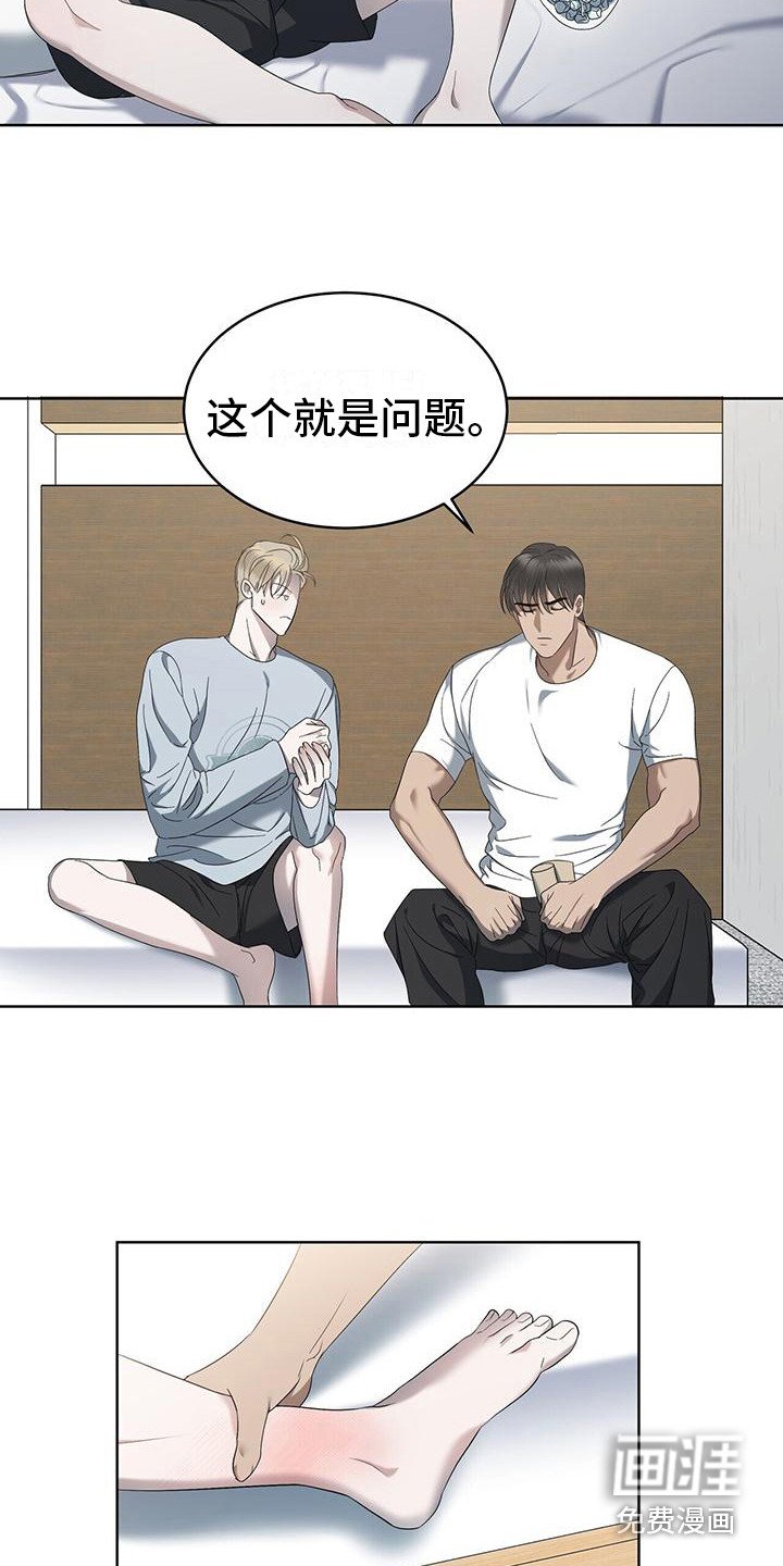 第15章：关注