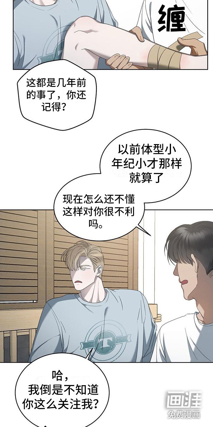 第15章：关注