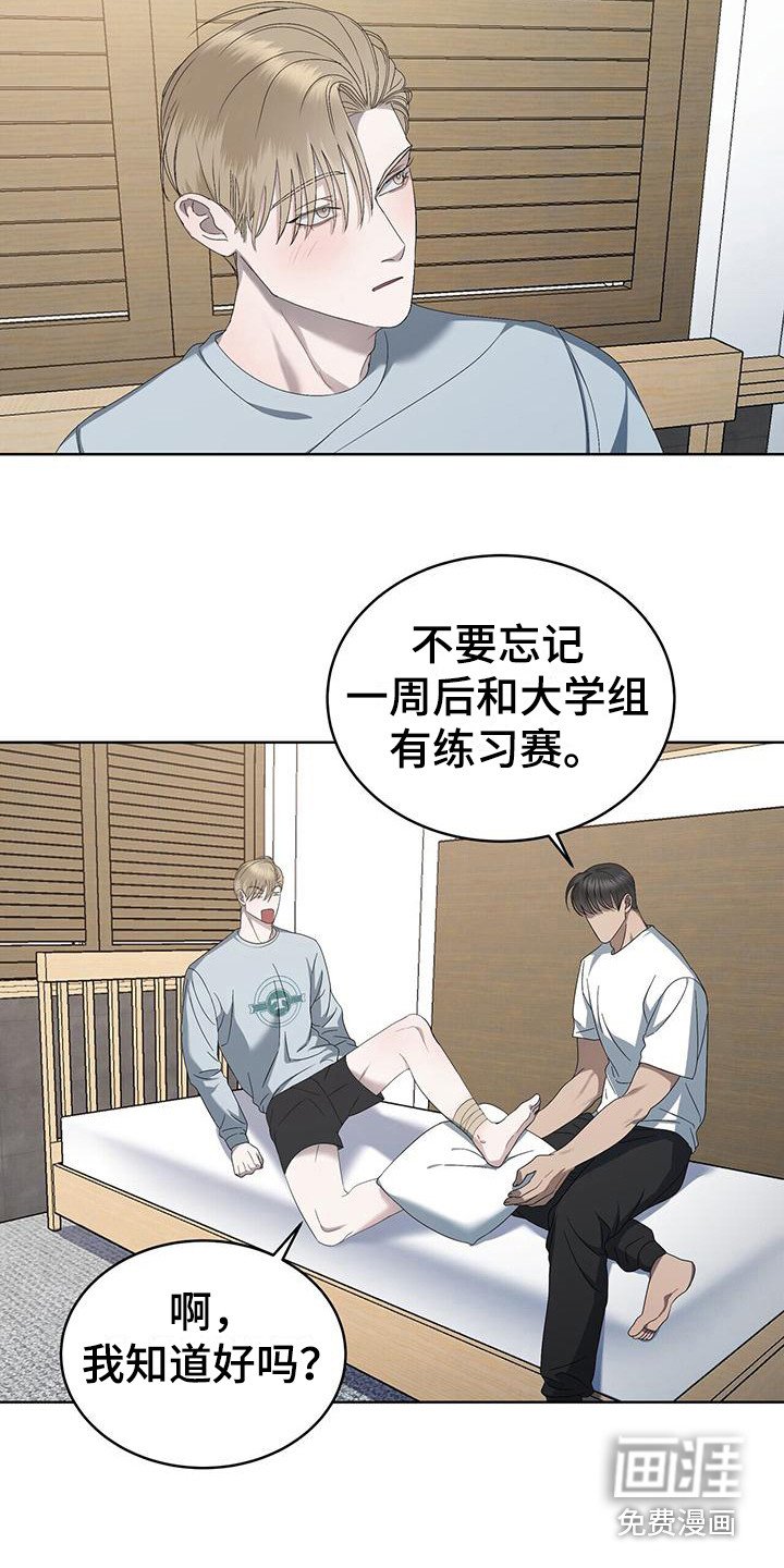 第15章：关注