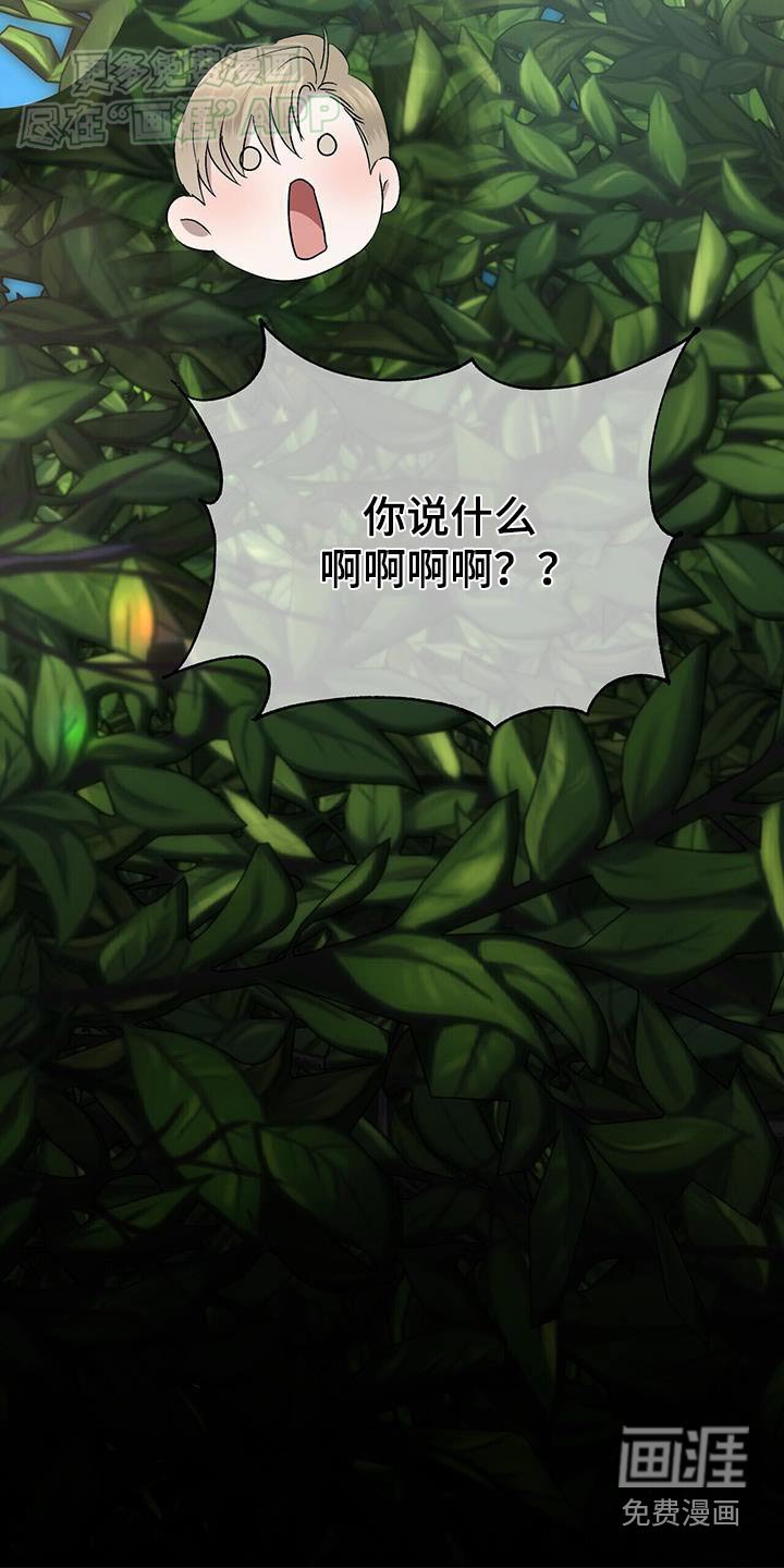 第71章：期待吧