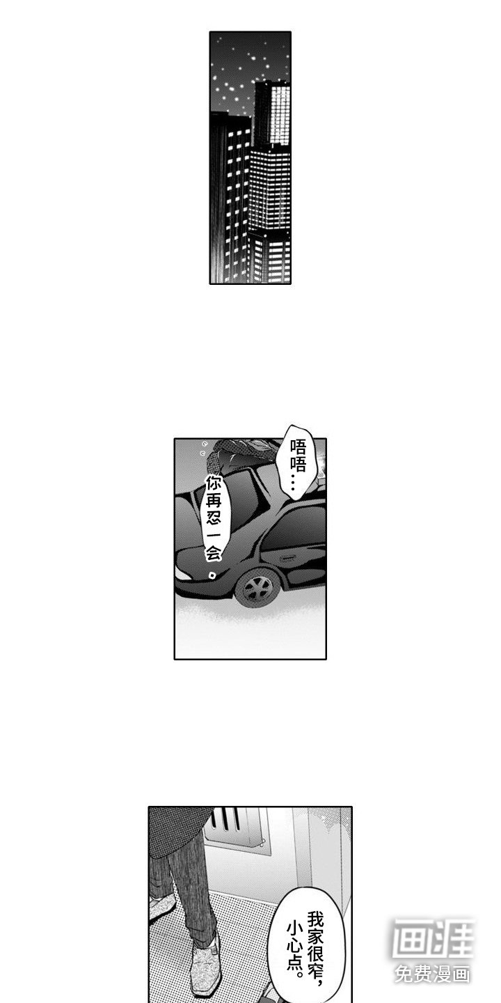第11章：令人安定 