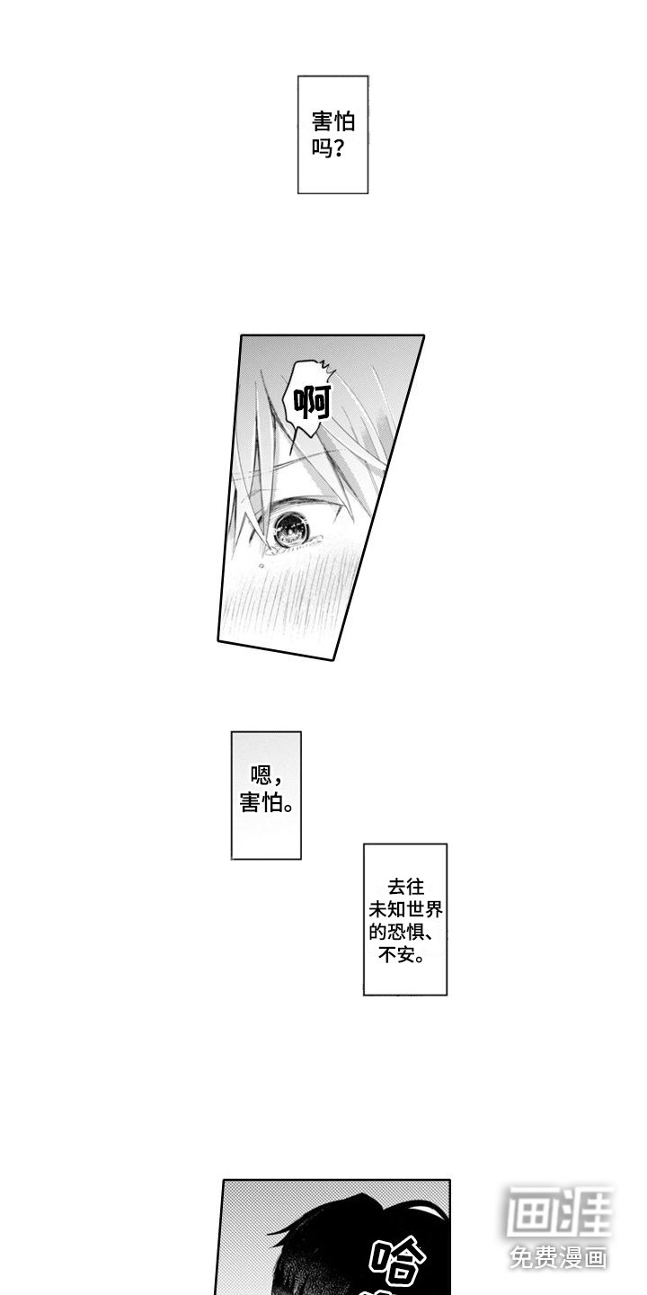 第14章：期待