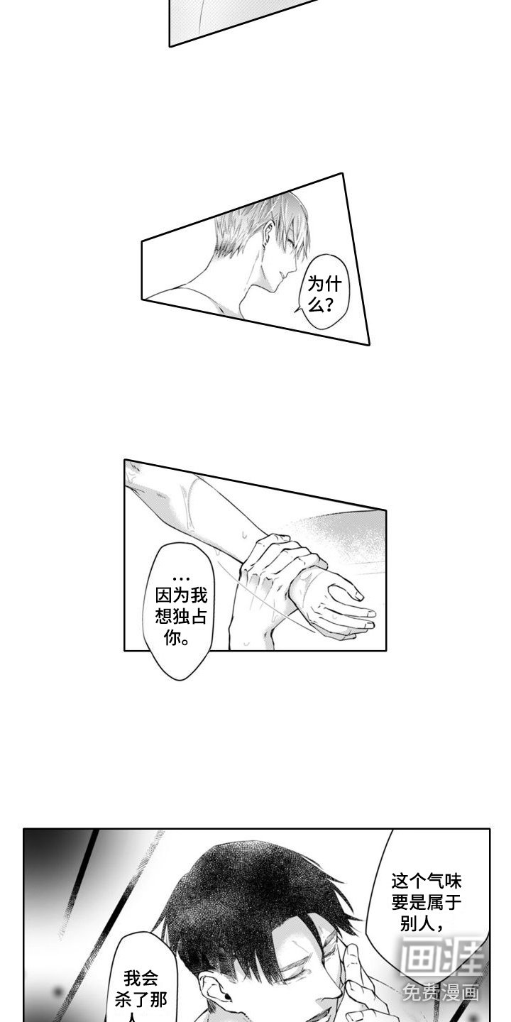 第18章：独占