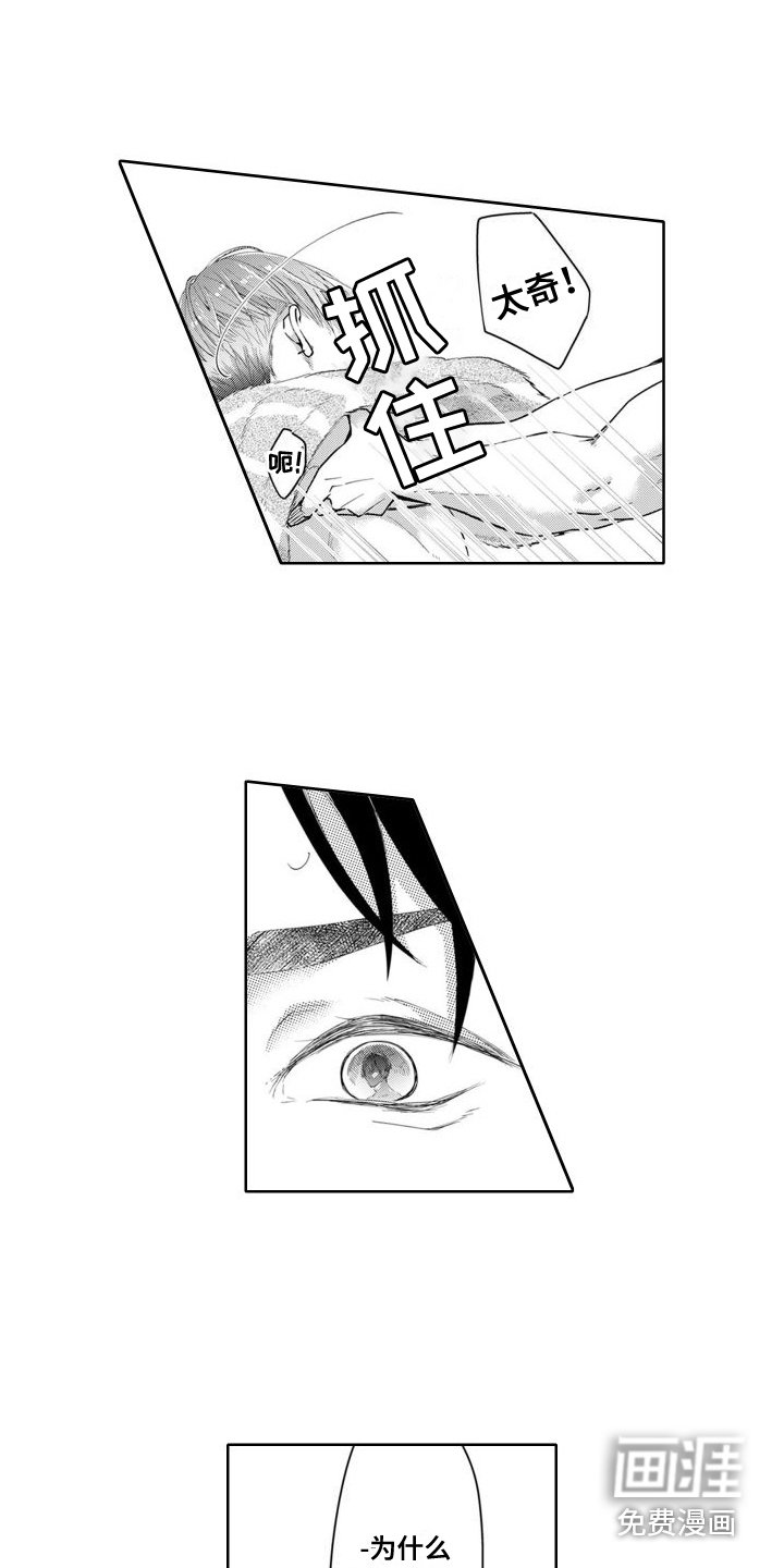 第19章：空虚