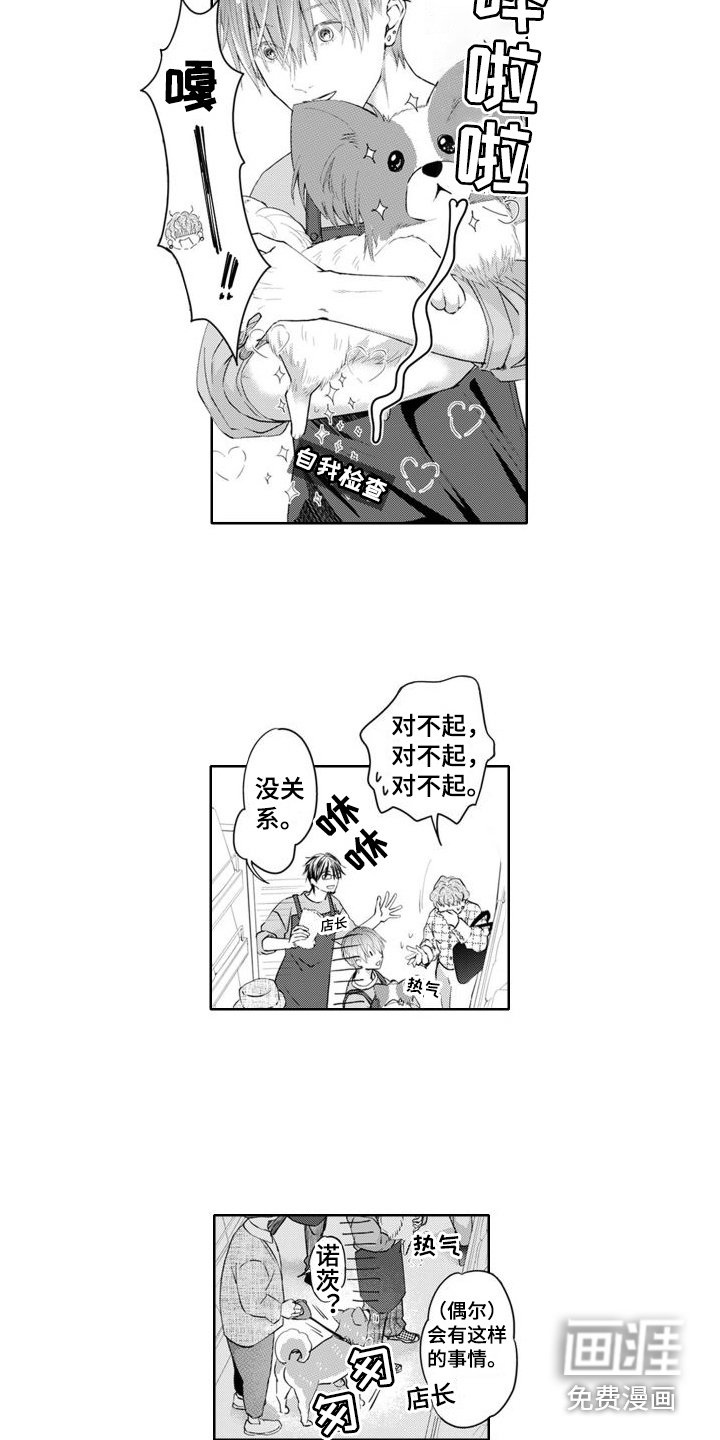 第20章：人气鼎盛期