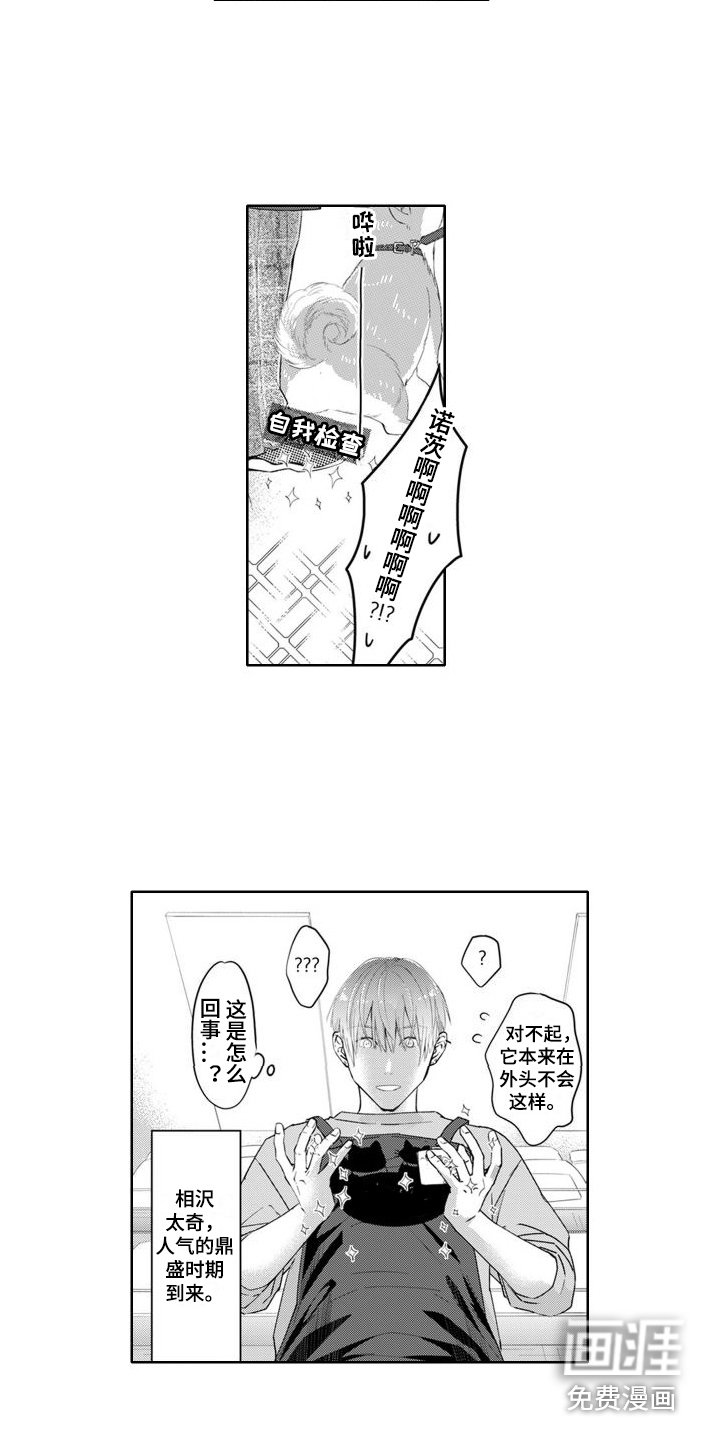 第20章：人气鼎盛期