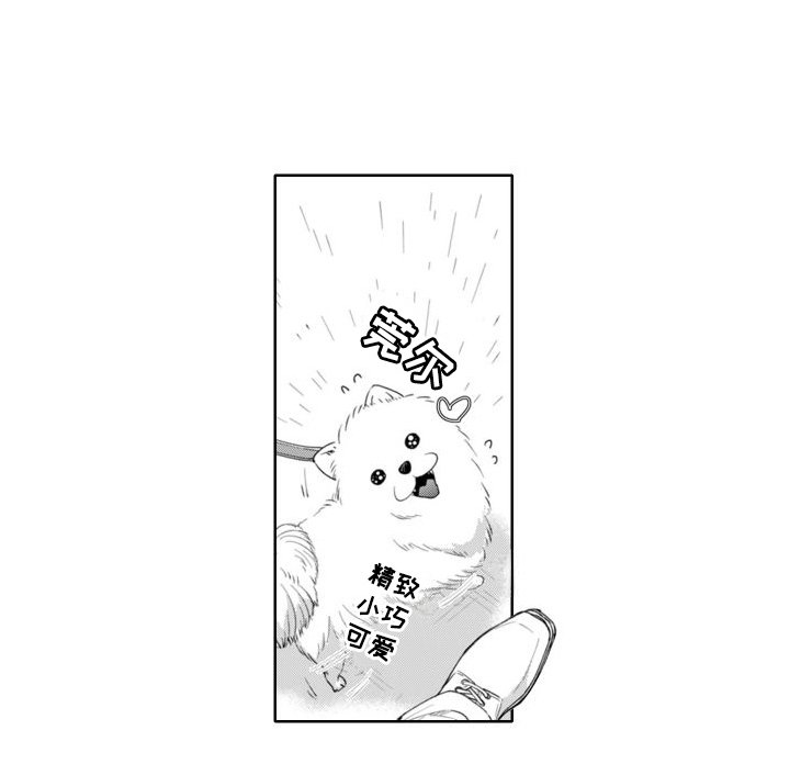 第20章：人气鼎盛期