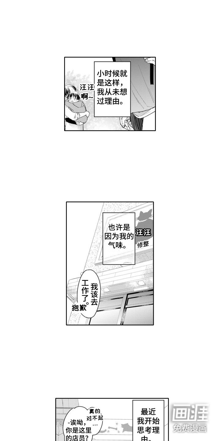 第20章：人气鼎盛期