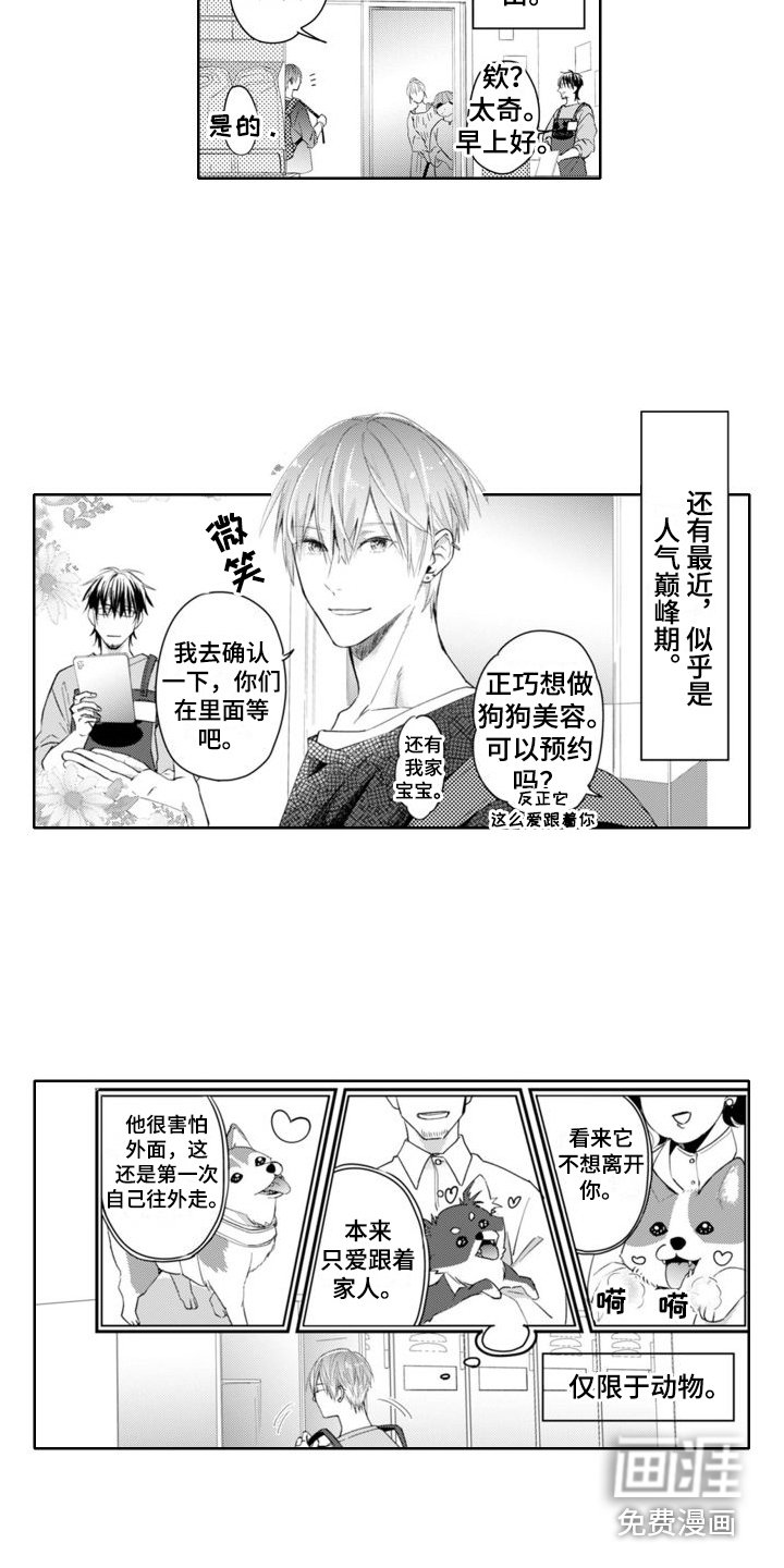 第20章：人气鼎盛期