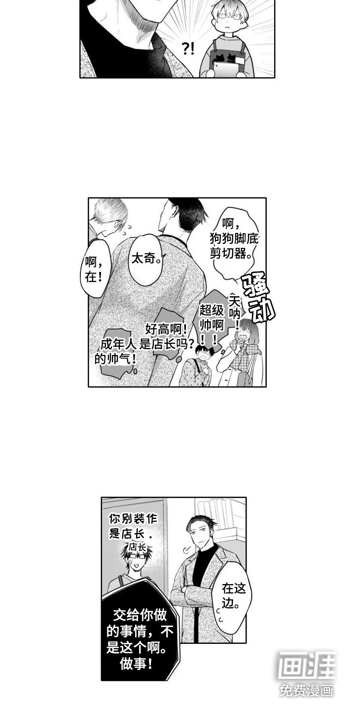 第4章：很在意