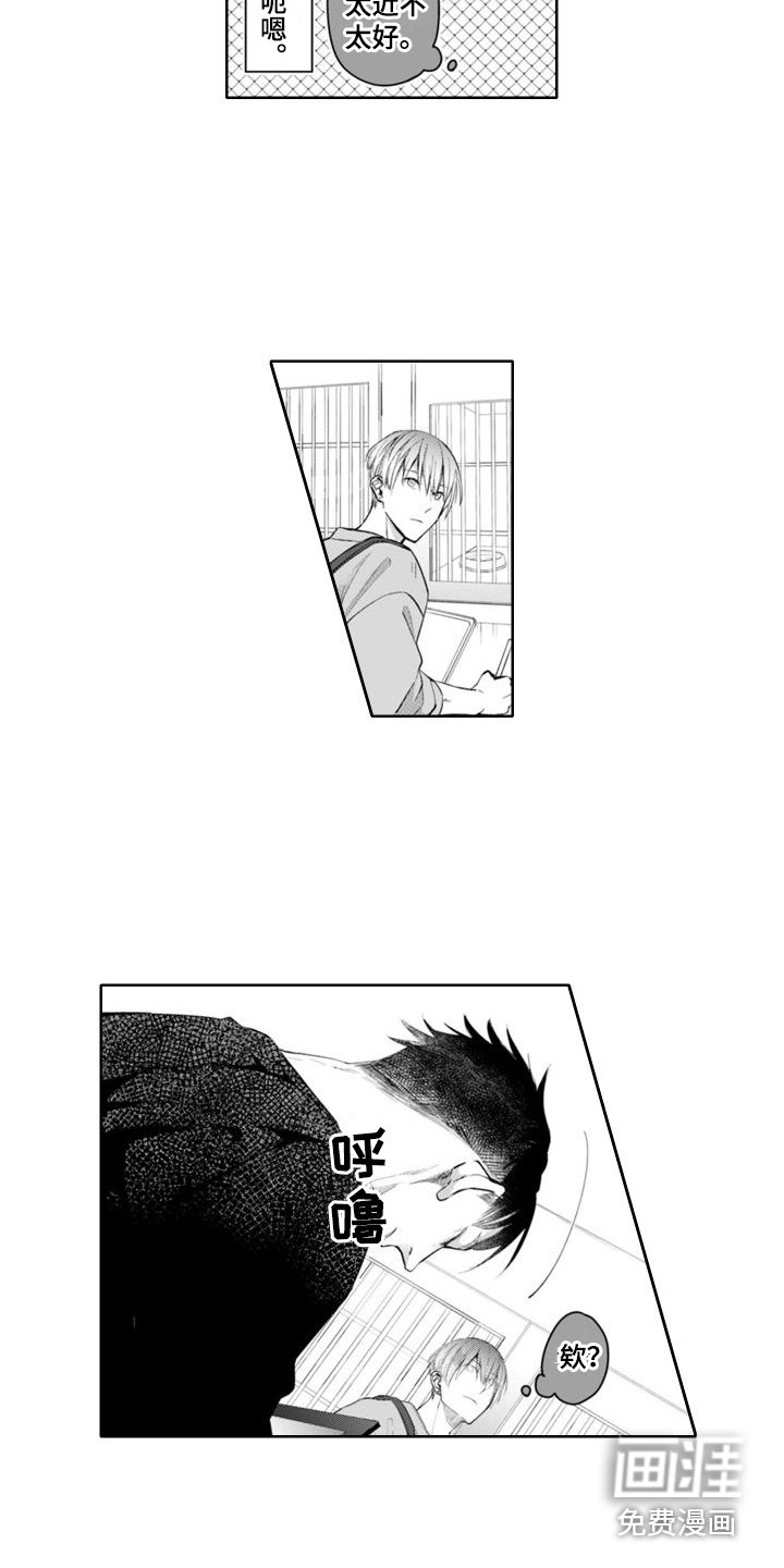 第5章：负罪感