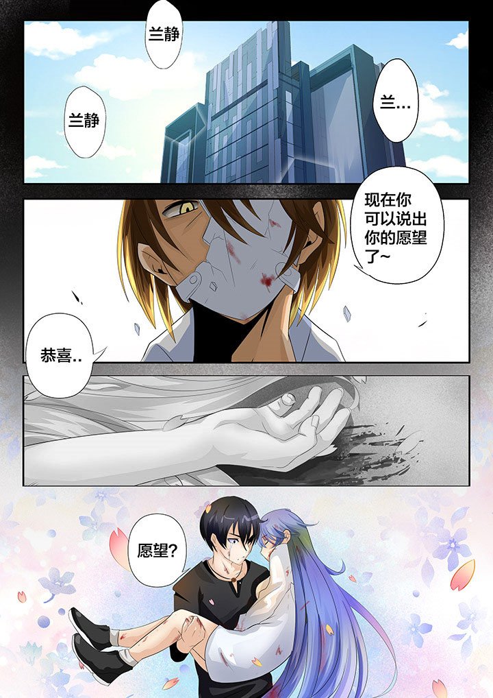 第13章：