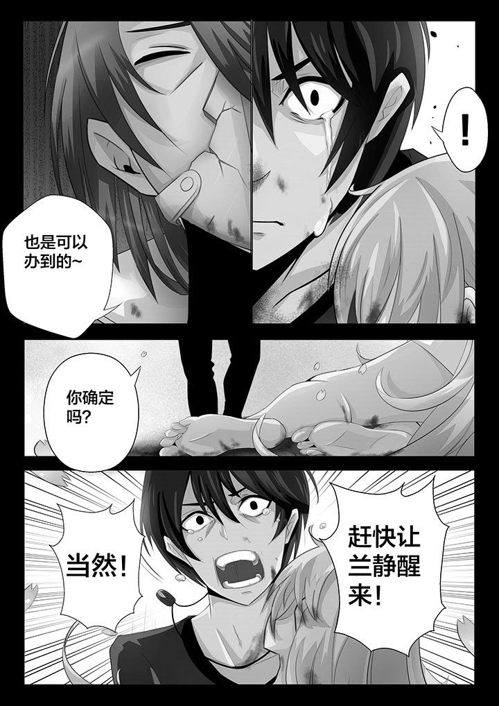 第13章：