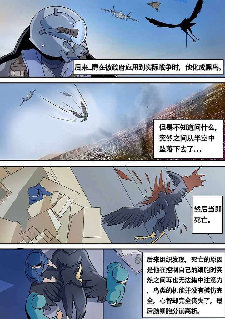 第10章：