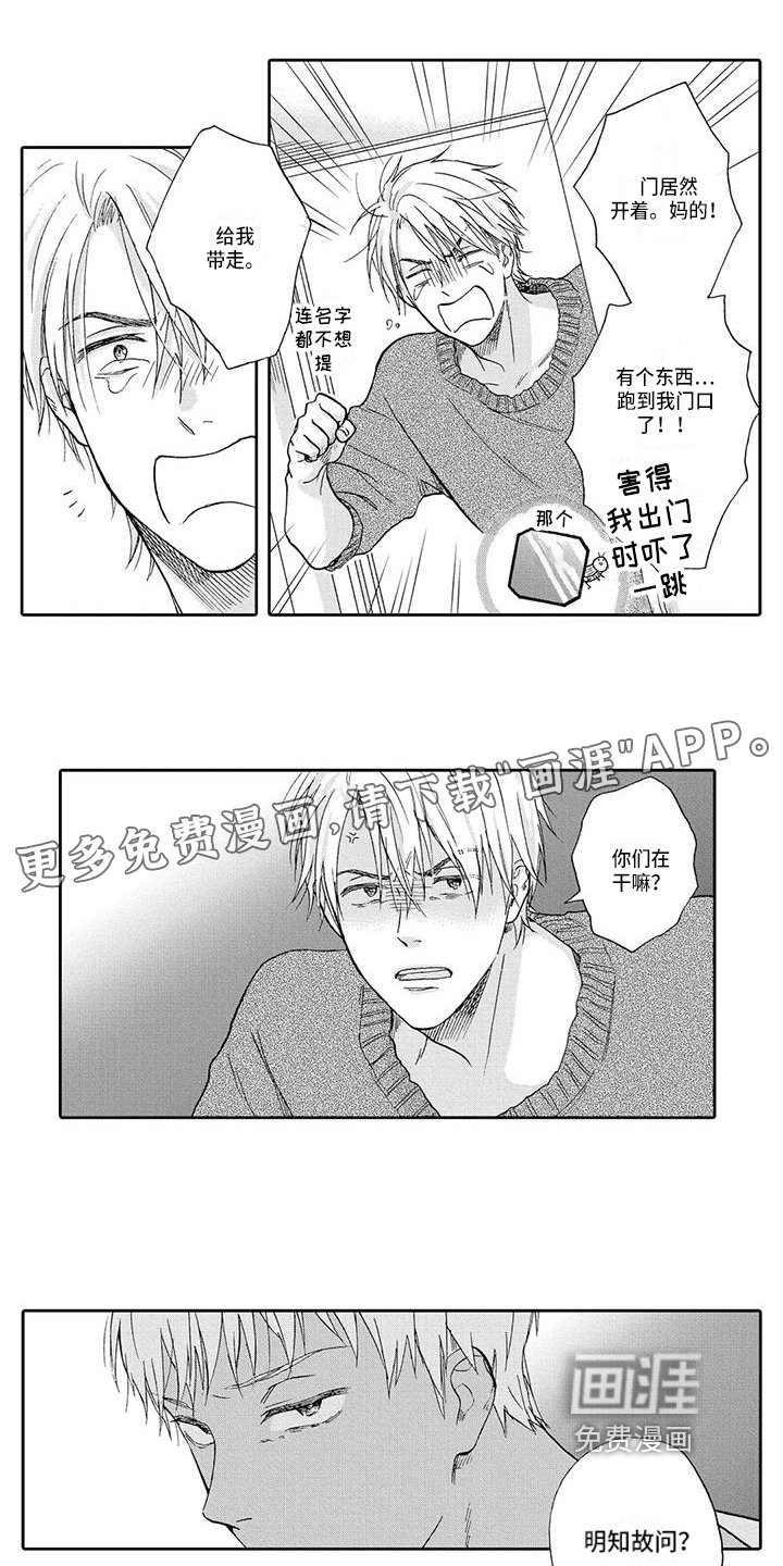 第12章：建议