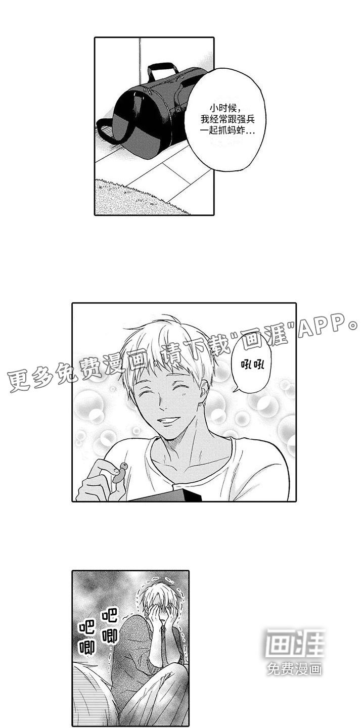 第13章：无关