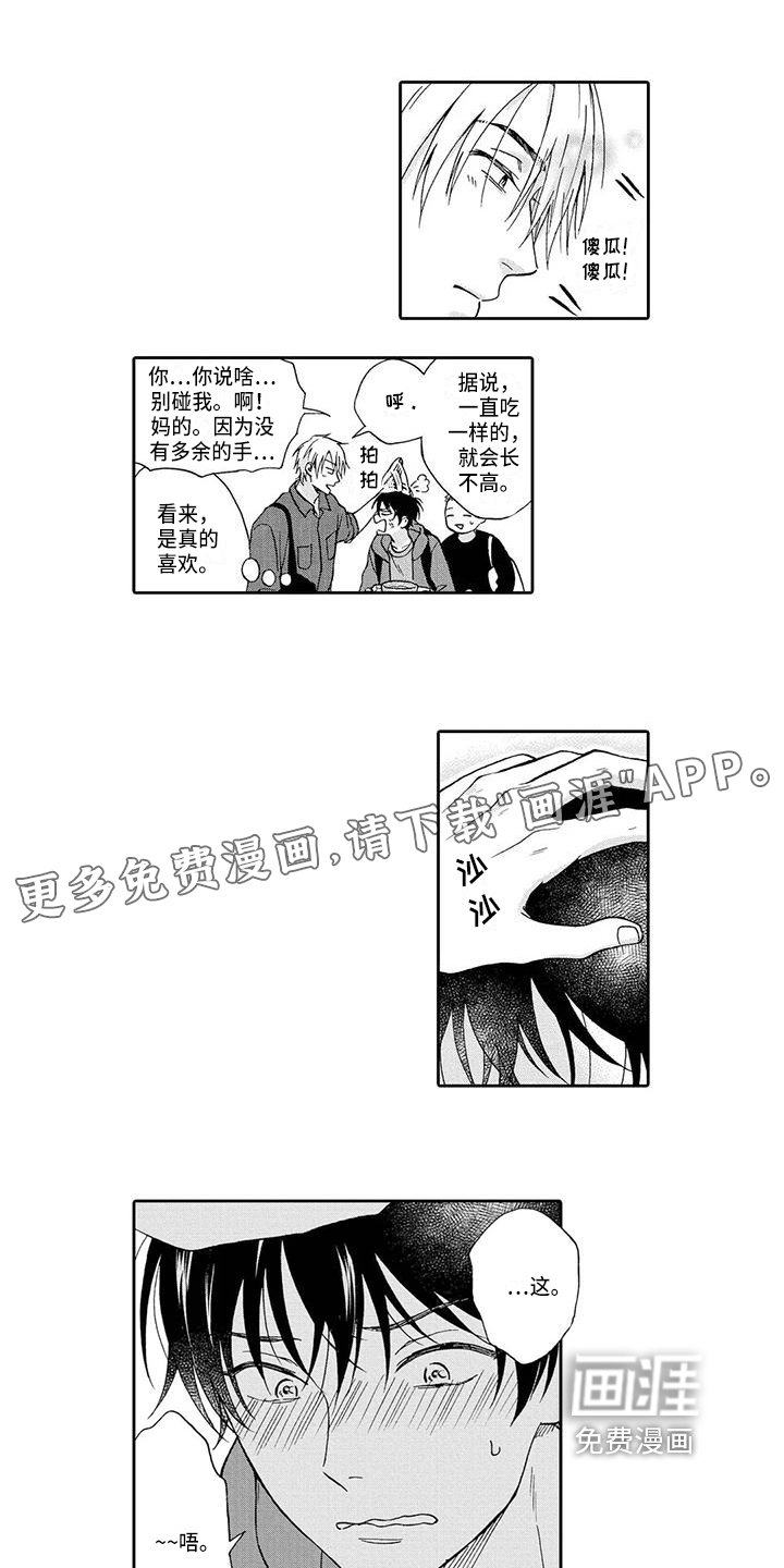 第20章：熟悉【完结】