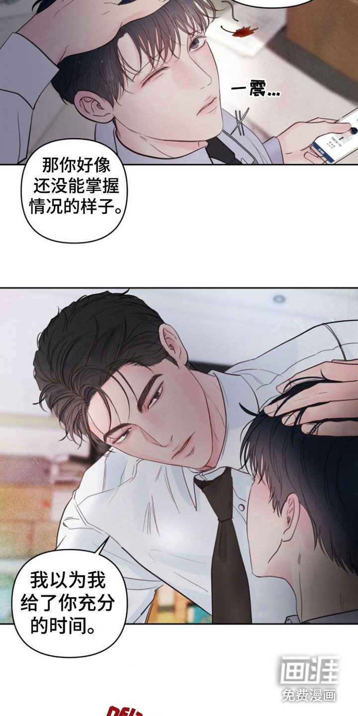 第11章：看法