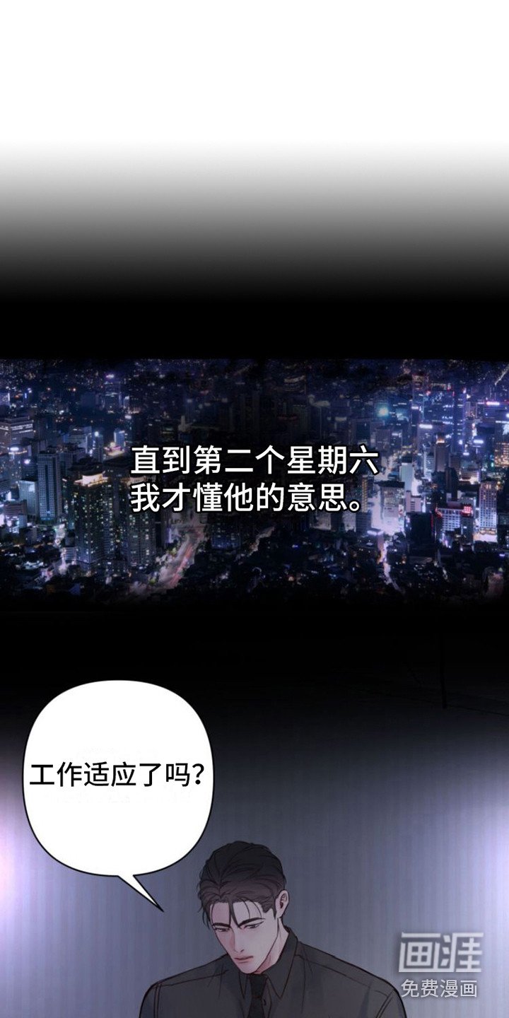 第11章：看法