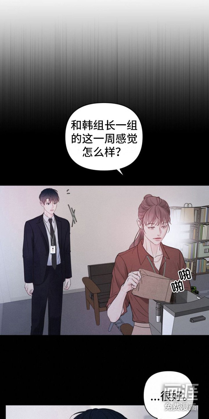 第11章：看法