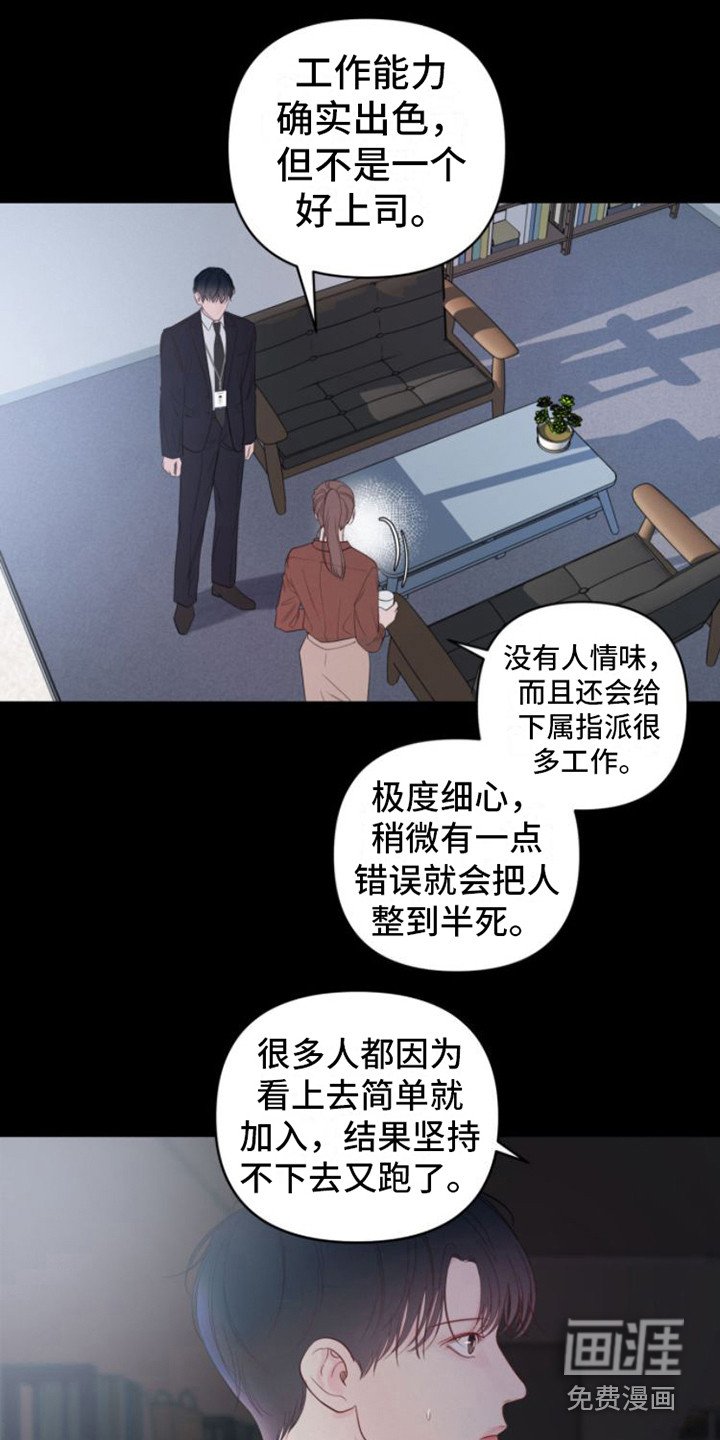 第11章：看法