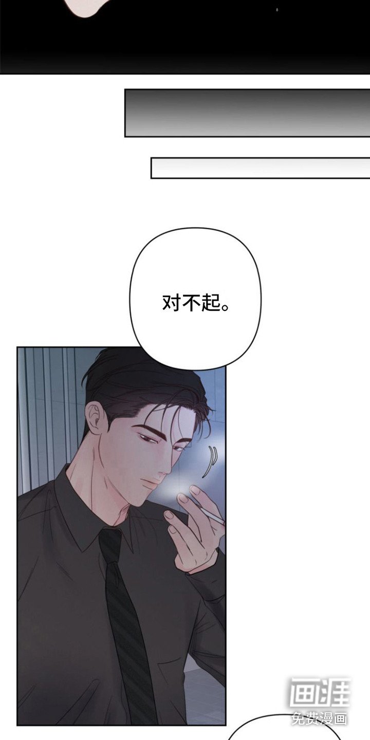 第12章：苹果