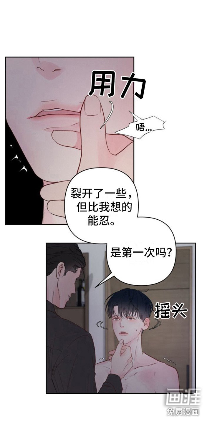 第12章：苹果