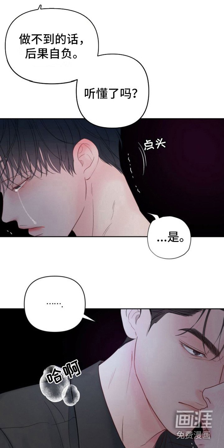 第12章：苹果