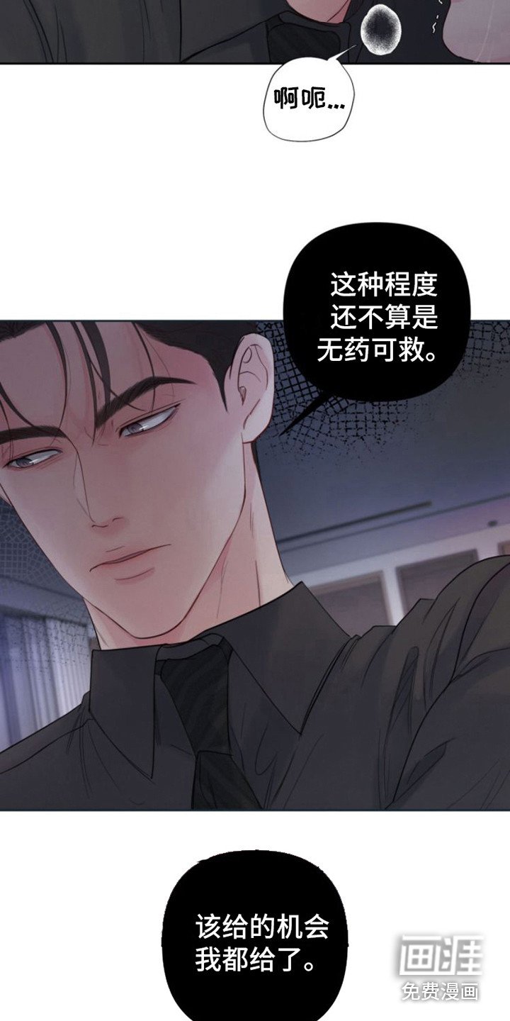 第12章：苹果
