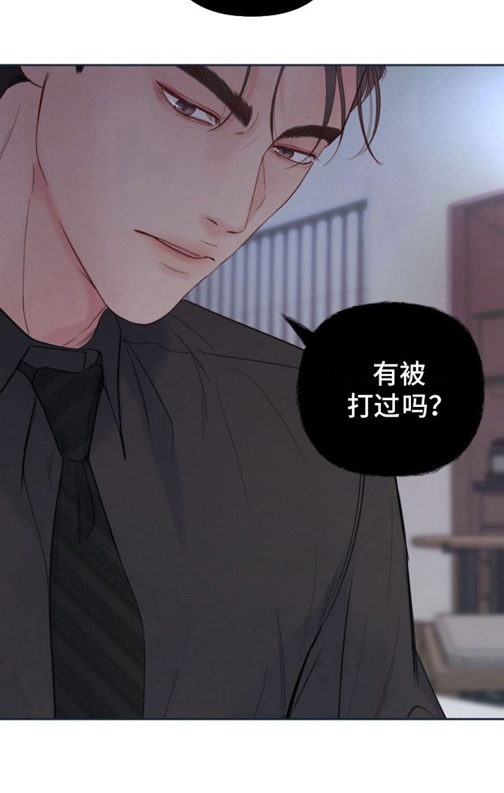 第12章：苹果