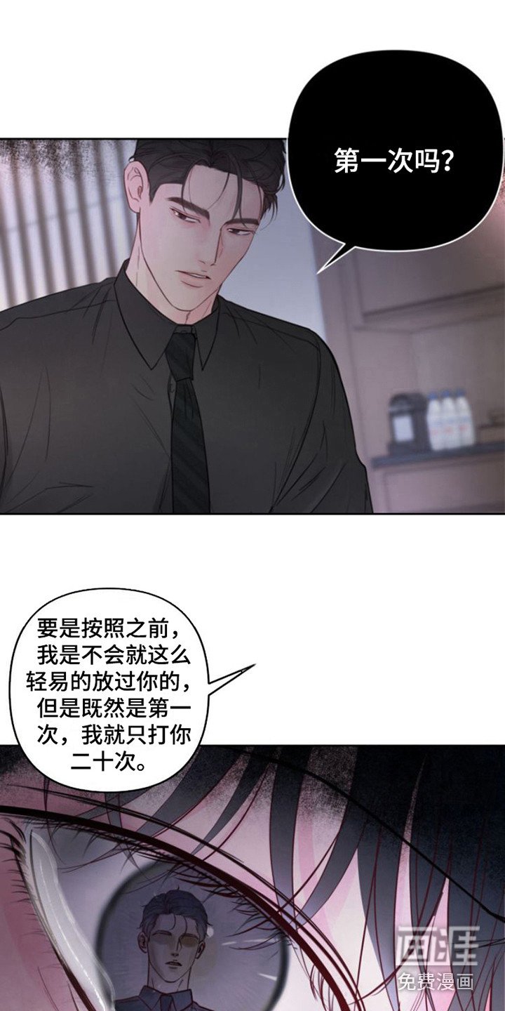 第12章：苹果