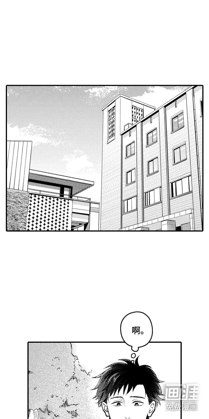 第15章：盯着看