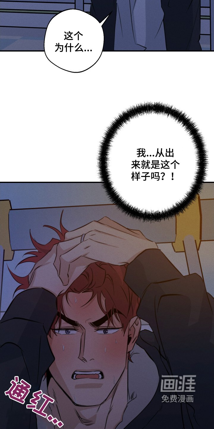 第116章：这个给你