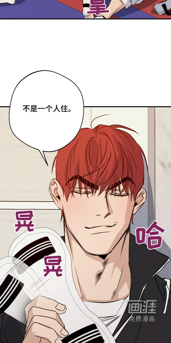第124章：很可惜