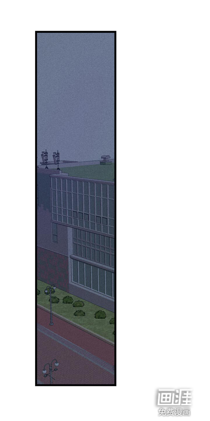 第29章：幻影
