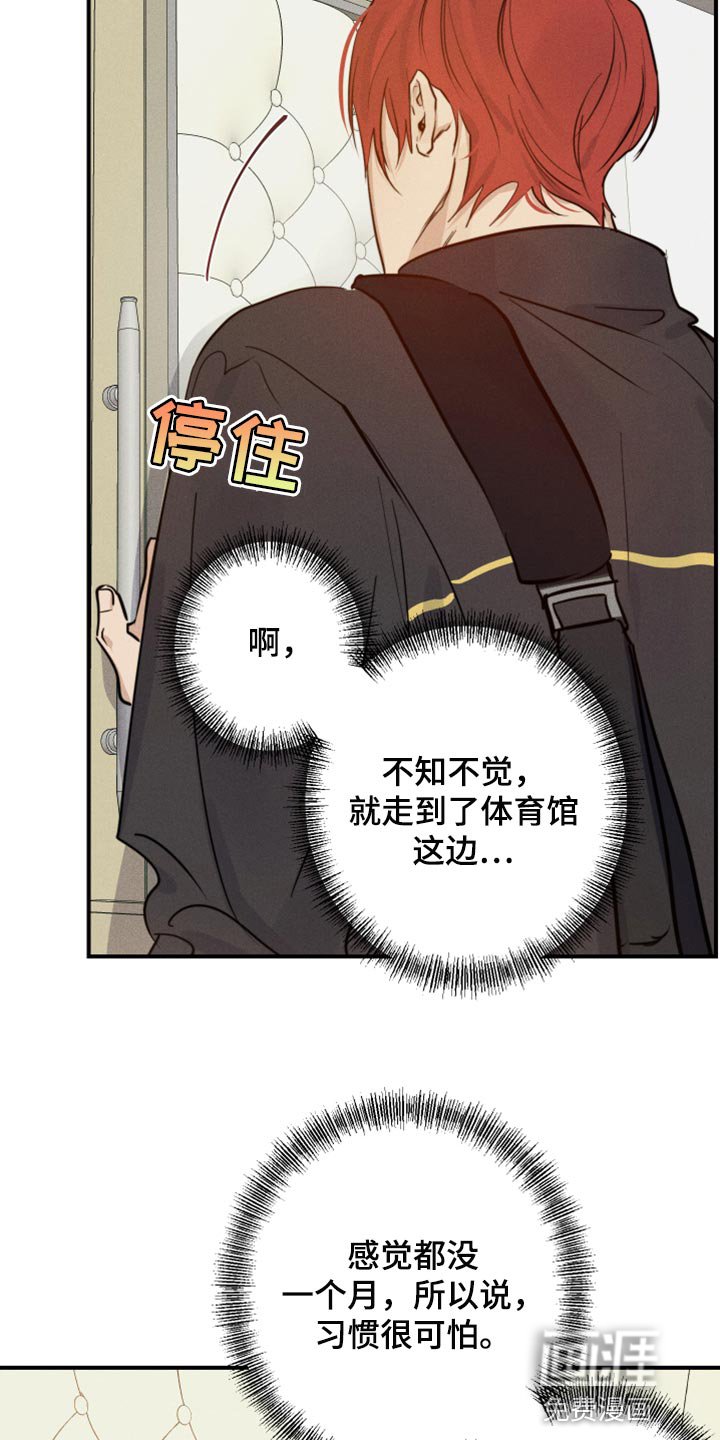 第29章：幻影