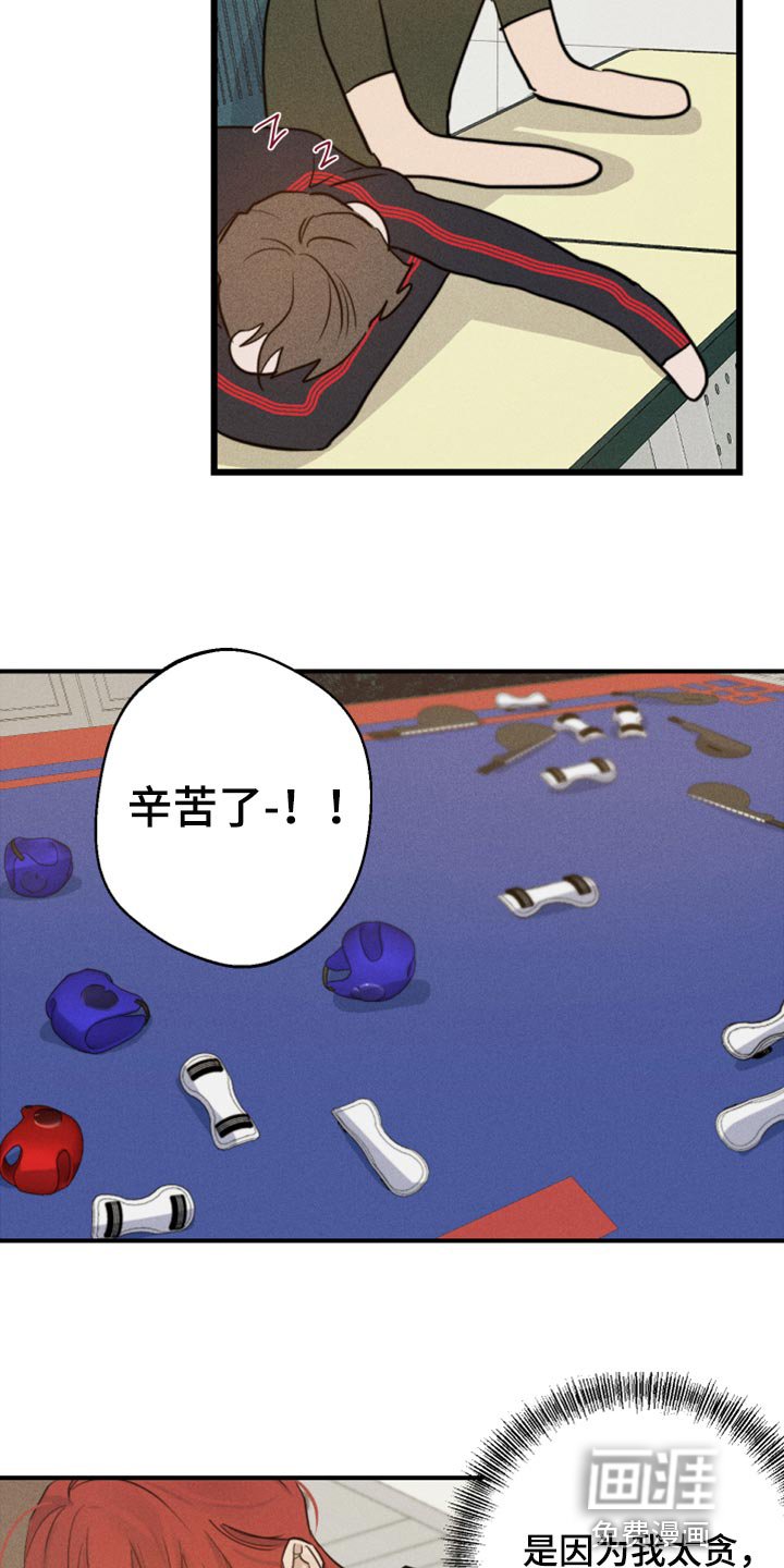 第29章：幻影