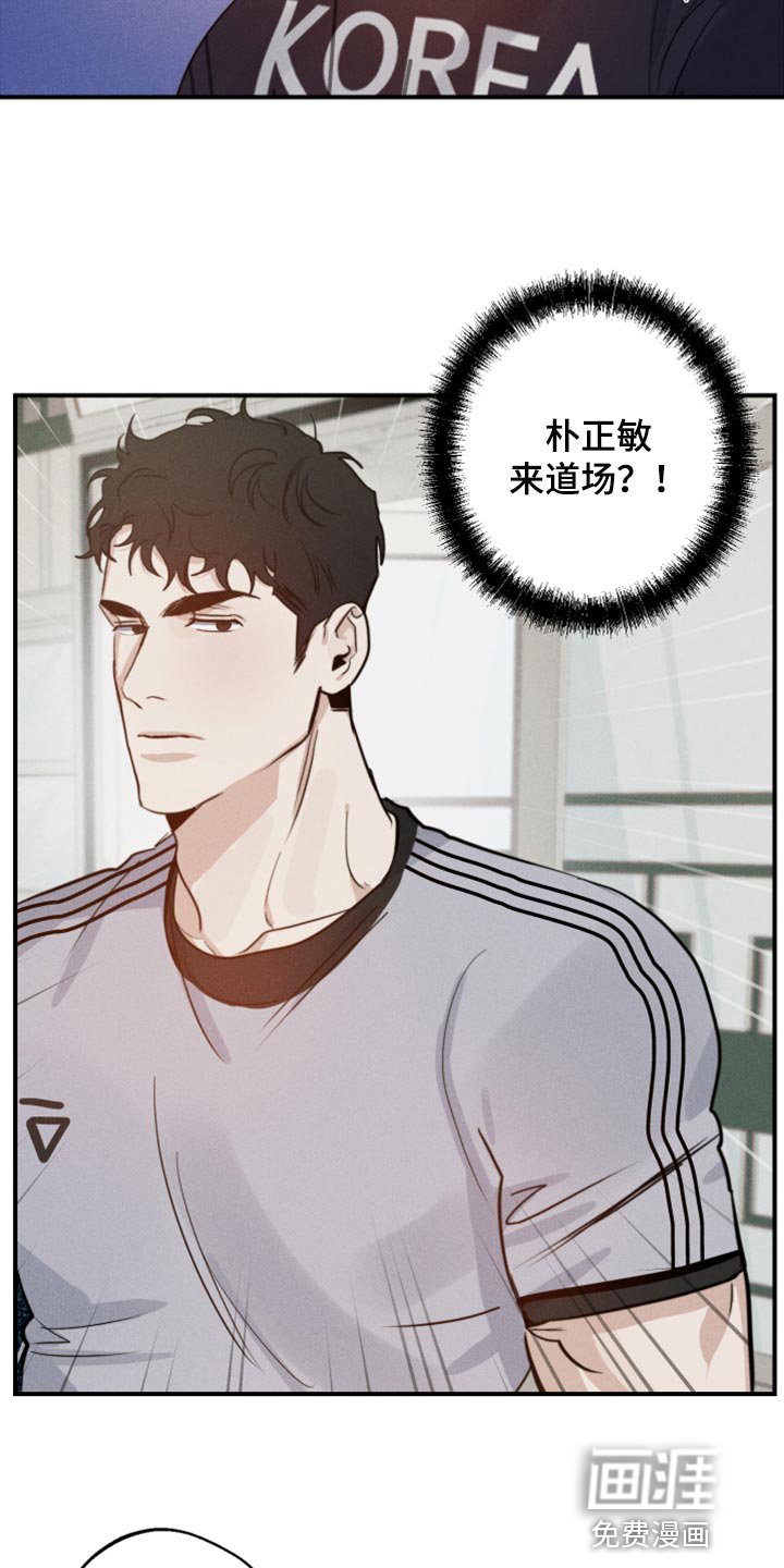 第29章：幻影