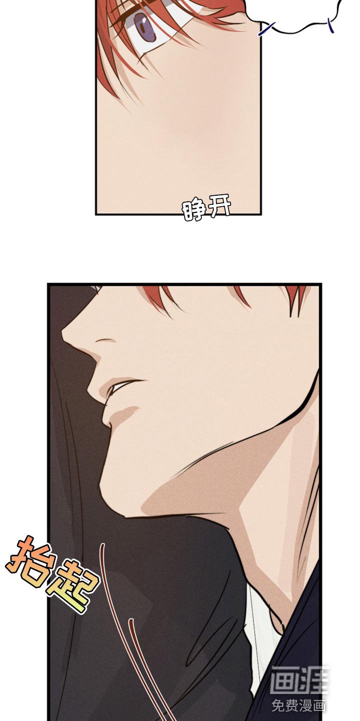 第29章：幻影
