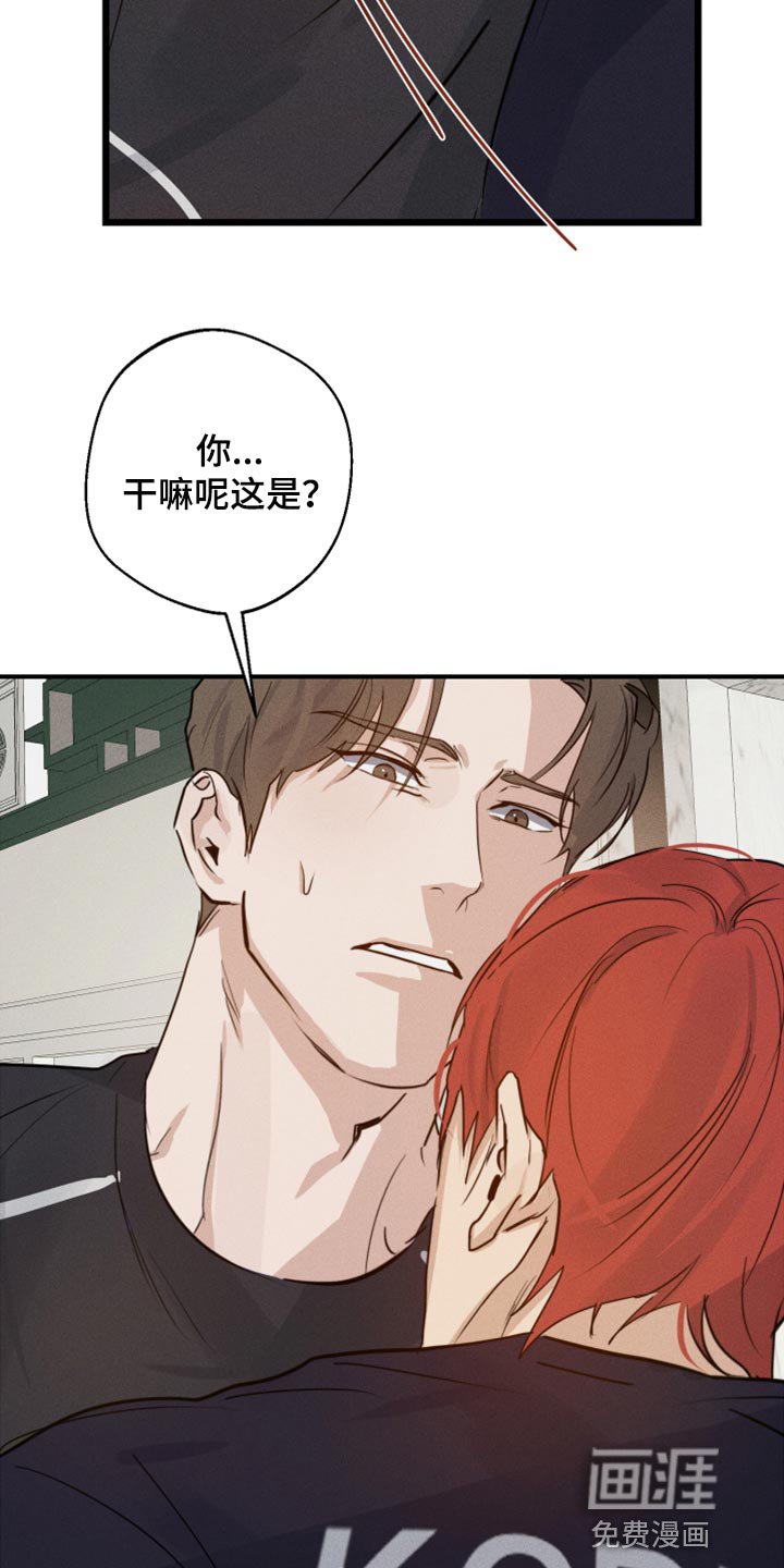 第29章：幻影