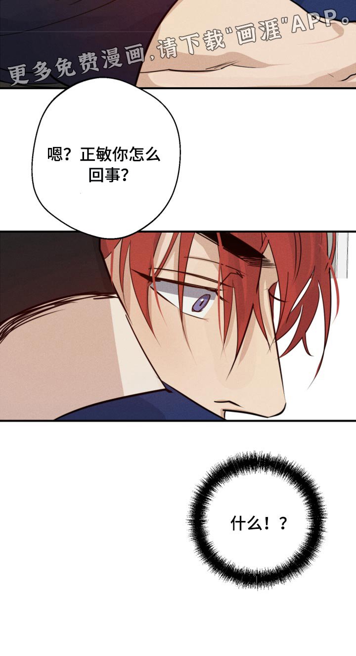第29章：幻影