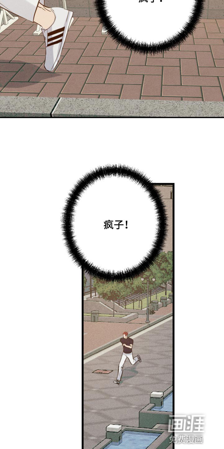 第30章：挂件