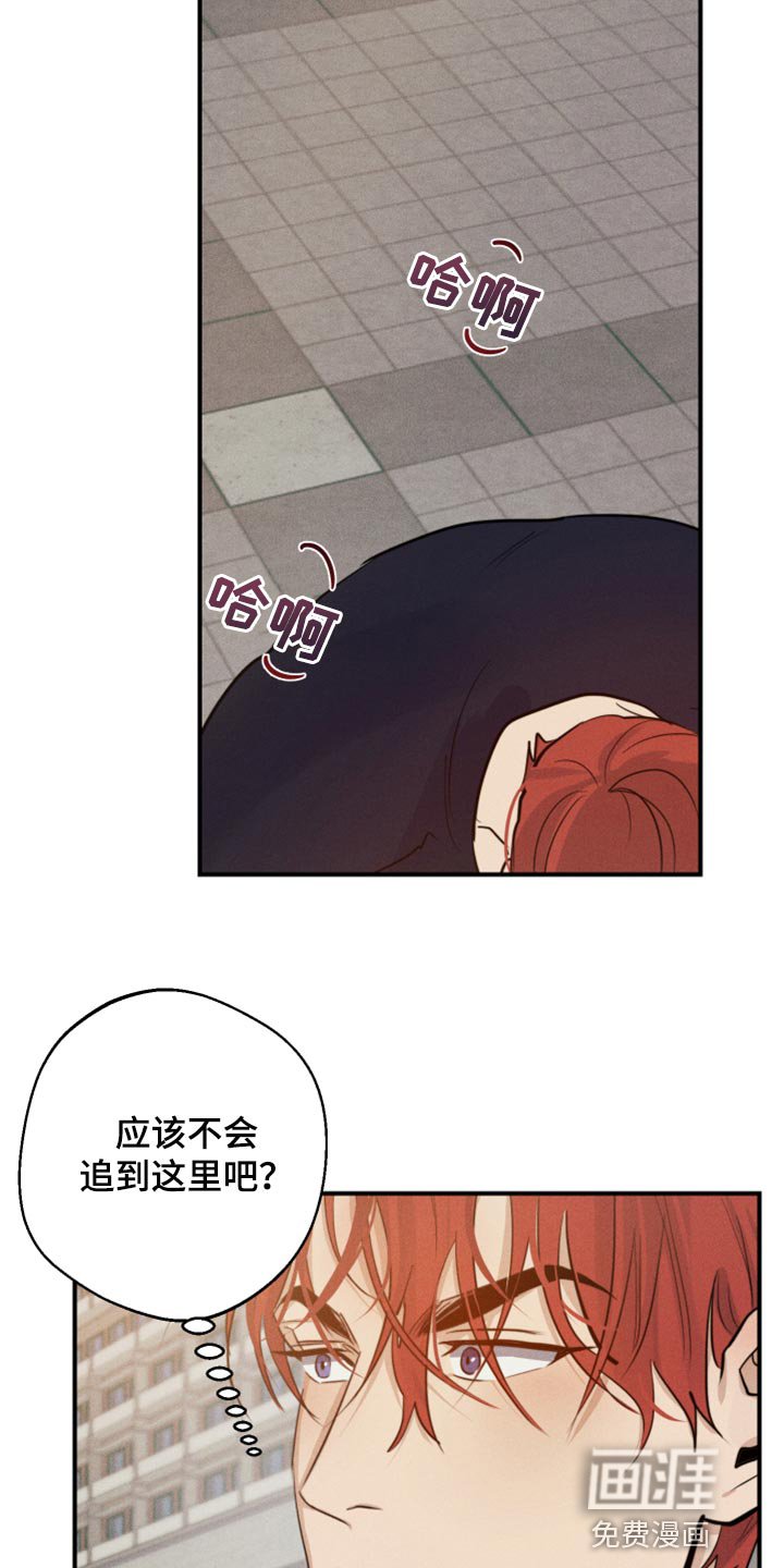 第30章：挂件