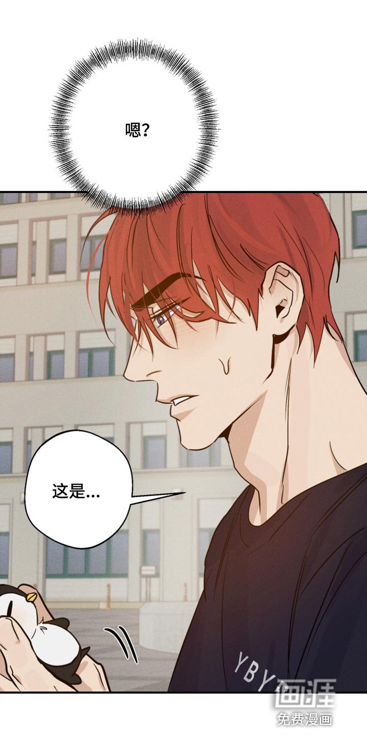 第30章：挂件
