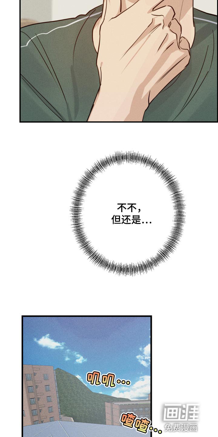第30章：挂件
