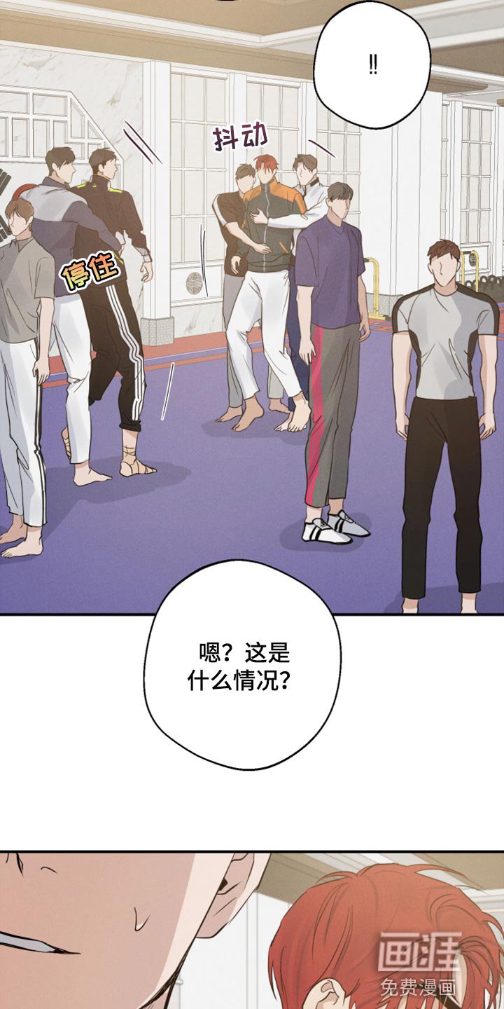 第33章：打架