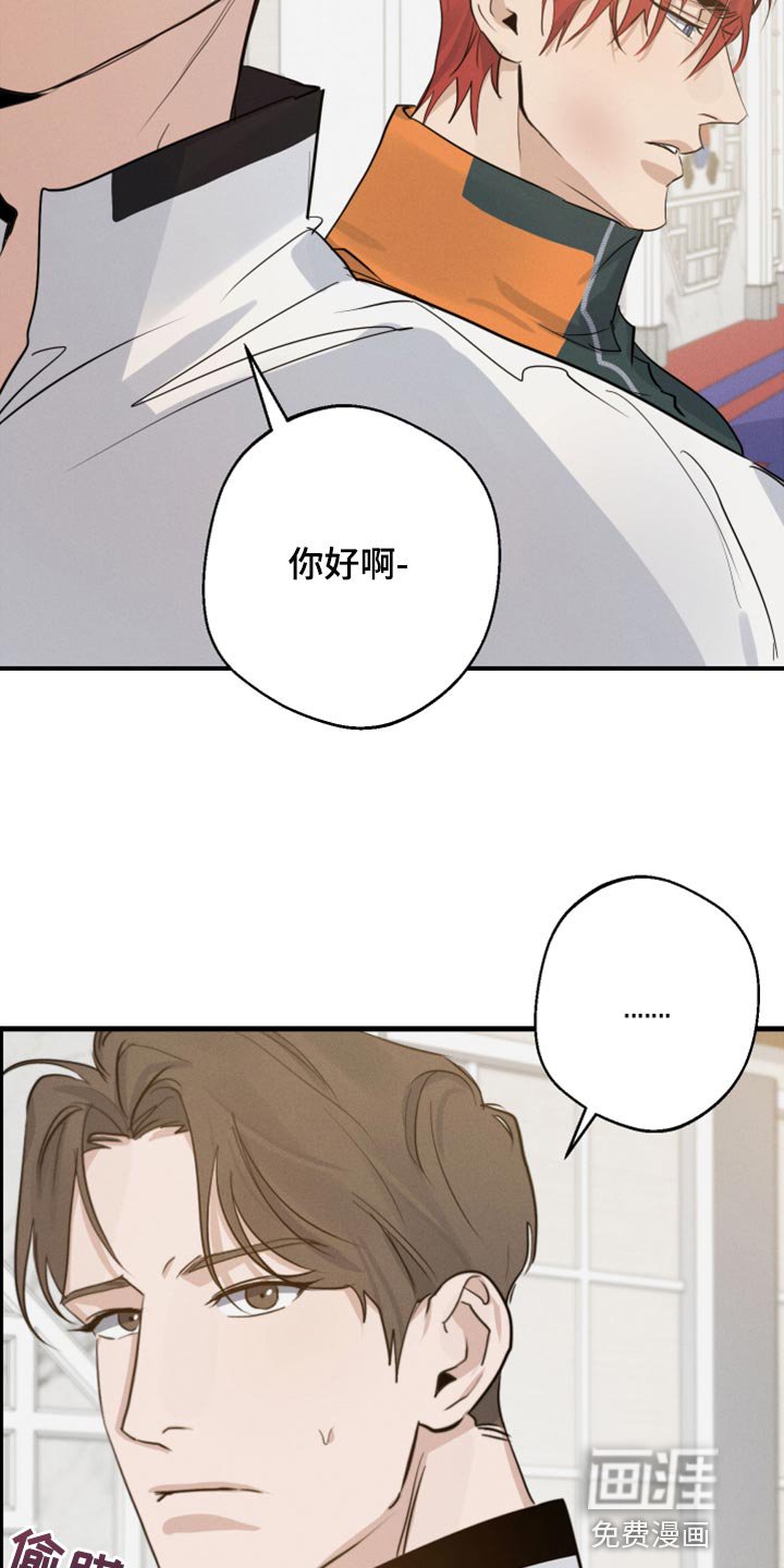 第33章：打架