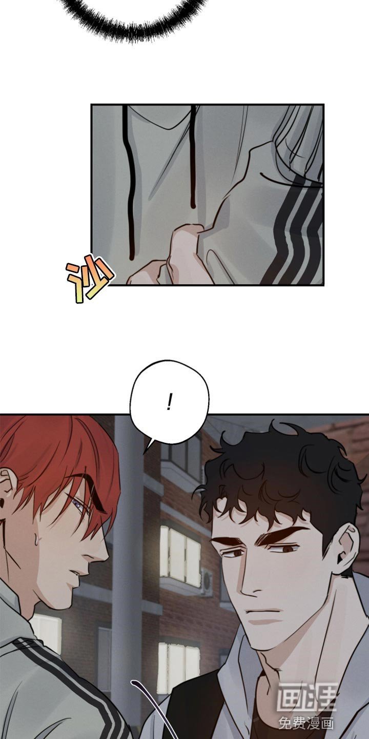 第39章：不顾一切