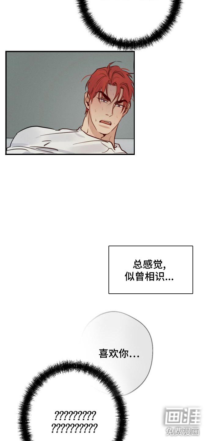 第39章：不顾一切
