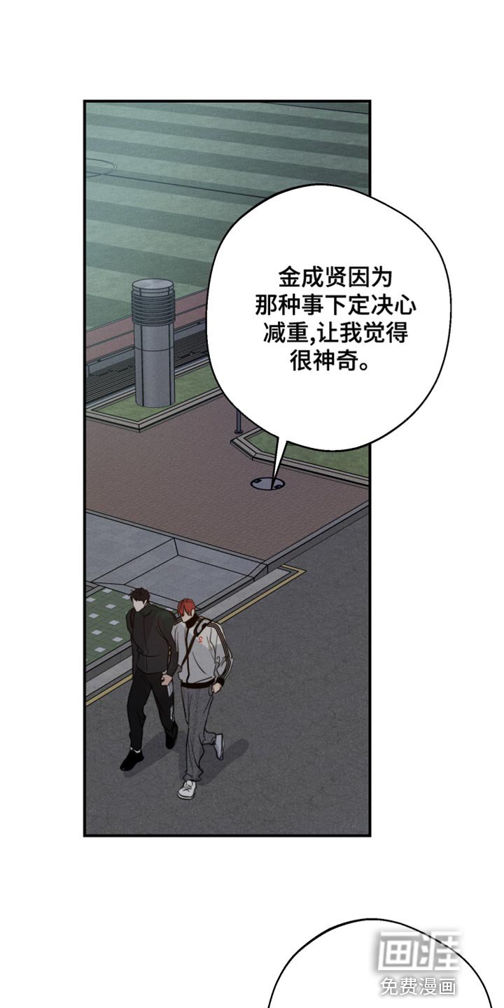 第43章：喜欢企鹅